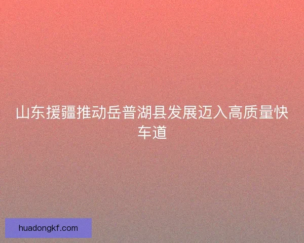 山东援疆推动岳普湖县发展迈入高质量快车道